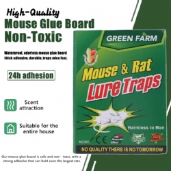 800Mouse Glue Trap