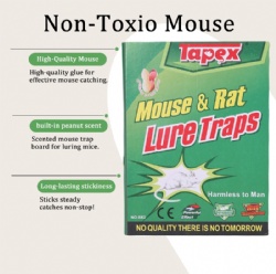 BX2mouse glue trap