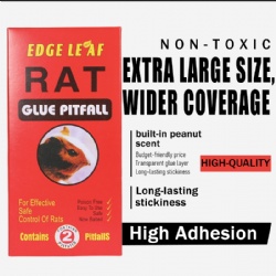 GO-203mouse trap sticker