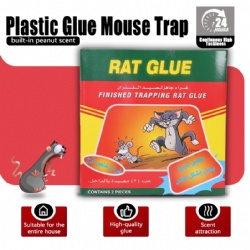 165-2 Glue Mouse Trap