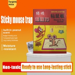 B031 Mouse Glue Board 或 B031 Rat Glue Board