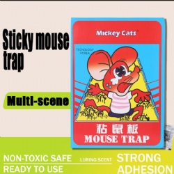 M11 Mouse Glue Board